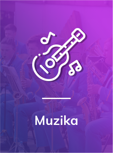 muzika kolektyvai