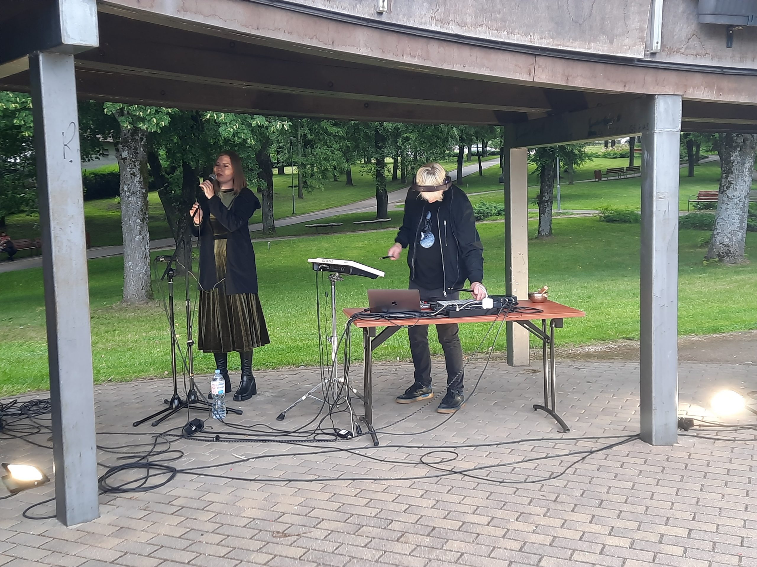 Molėtų skulptūrų parke – išskirtinis muzikos vakaras